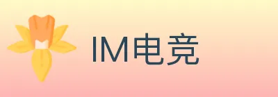 IM电竞 logo